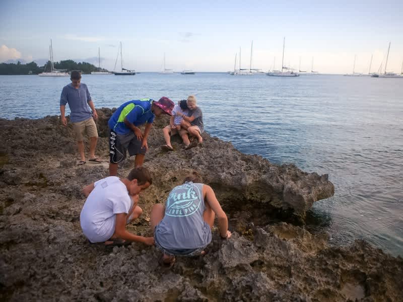 Students at the coast