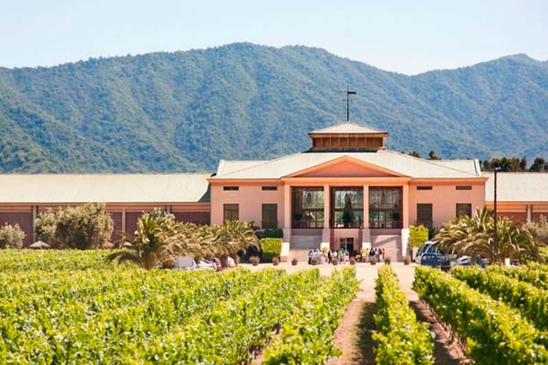 Students combining Spanish lessons with wine theory classes in Chile