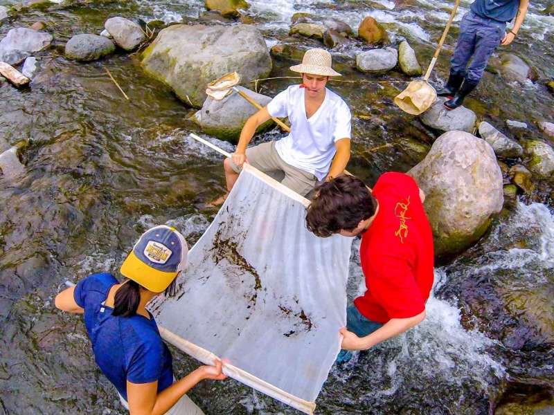 Students gathering samples in the ocean