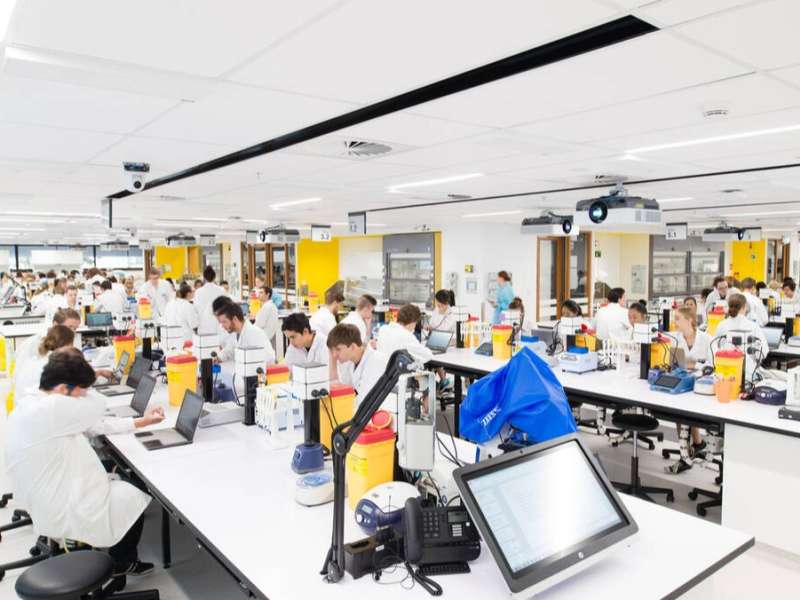 Students in Lab