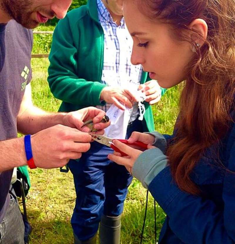 Students in the field - Ecology Program in Scotland - Adelante Abroad