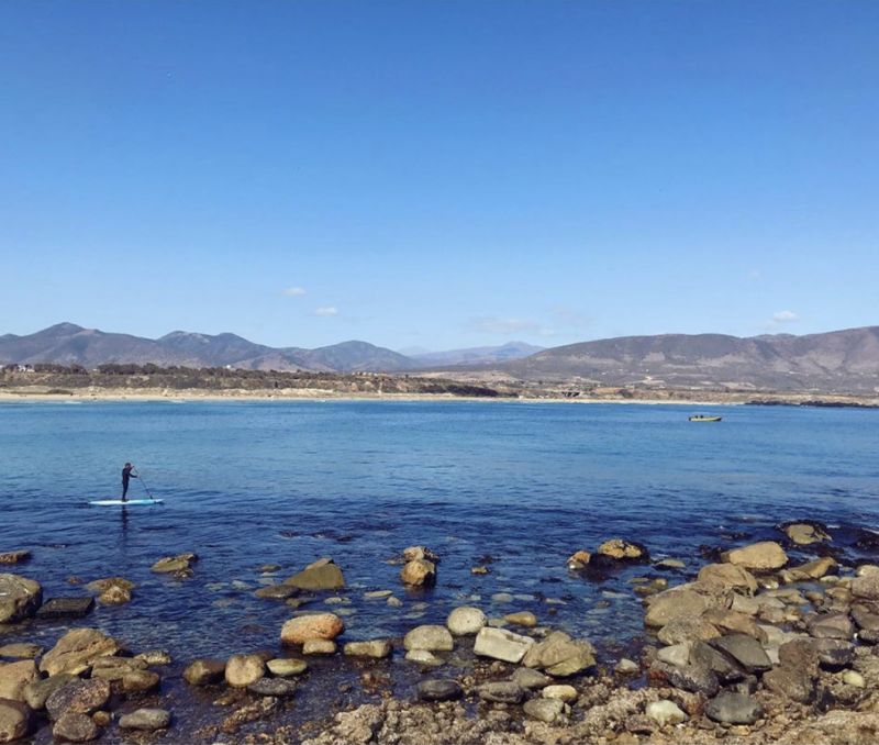 Students paddleboarding on calm Chilean waters during a social work and psychology internship excursion.
