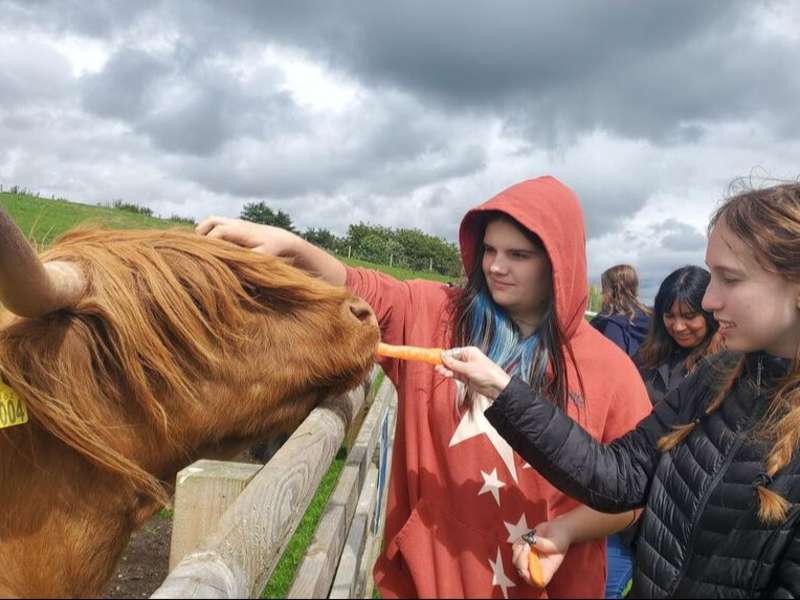 Students petting Highland cow in Scotland