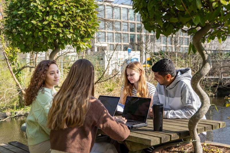 Students studying 