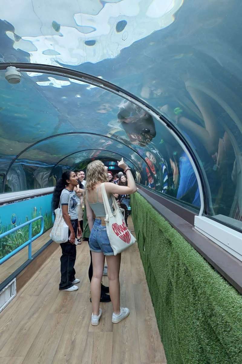 Students visiting aquarium in Sydney