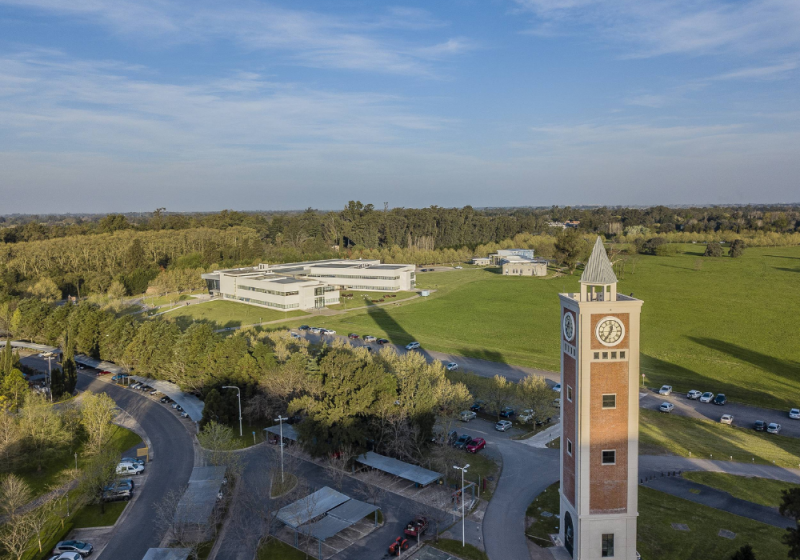 Study Abroad in Argentina (Universidad Austral)