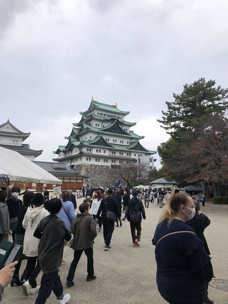 Study Abroad in Japan!