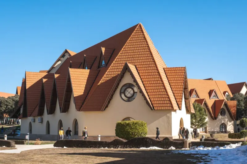 Study Abroad in Morocco (Al Akhawayn University)