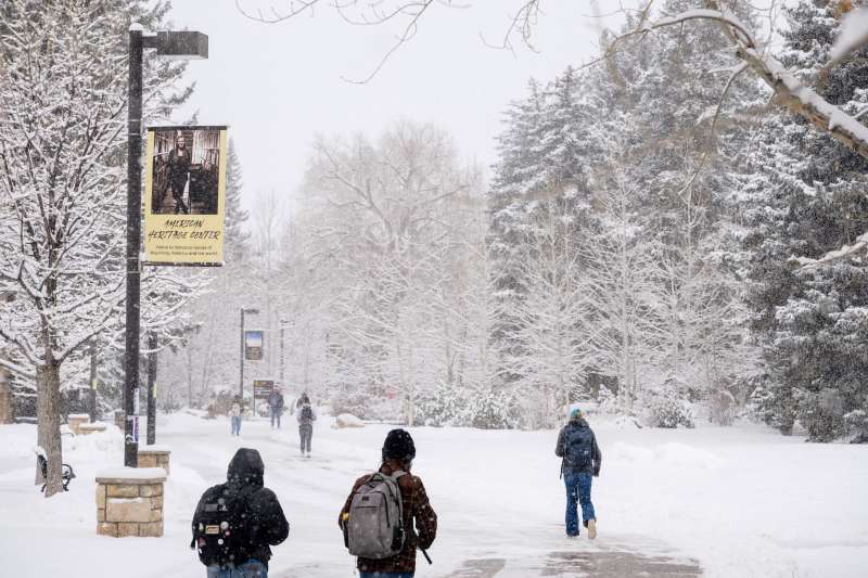 Study Abroad in the USA (University of Wyoming)