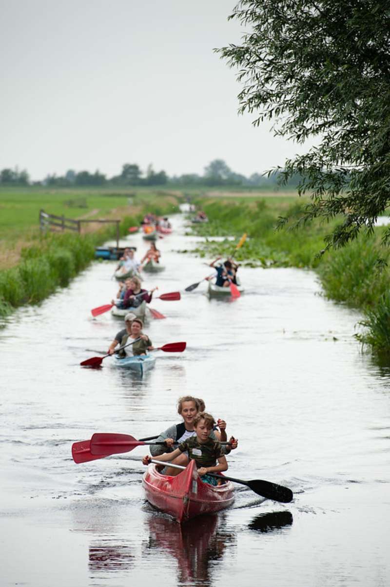 Study Abroad with Greenheart Travel in the Netherlands!