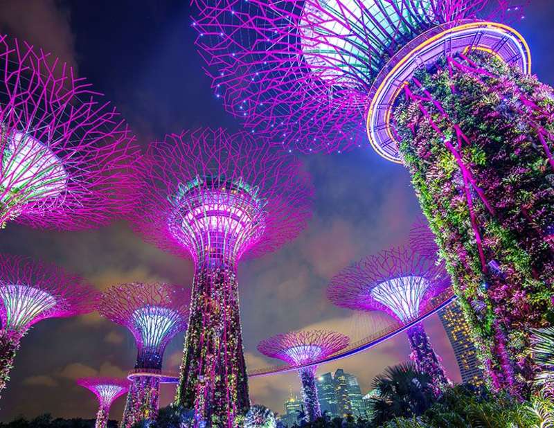 Study in Singapore