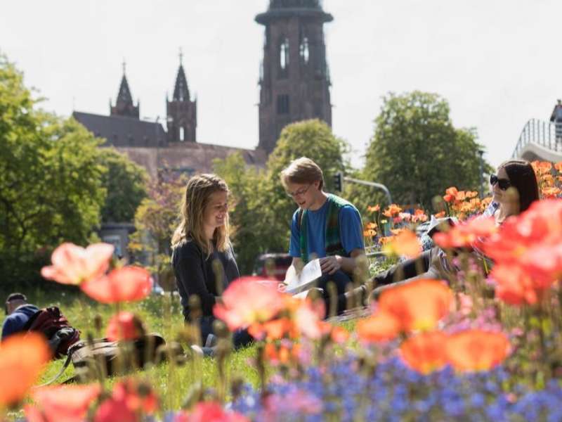 Studying amongst the flower garden in Freiburg, Germany.