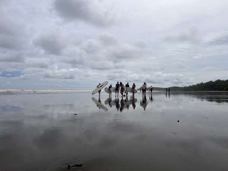 SURF