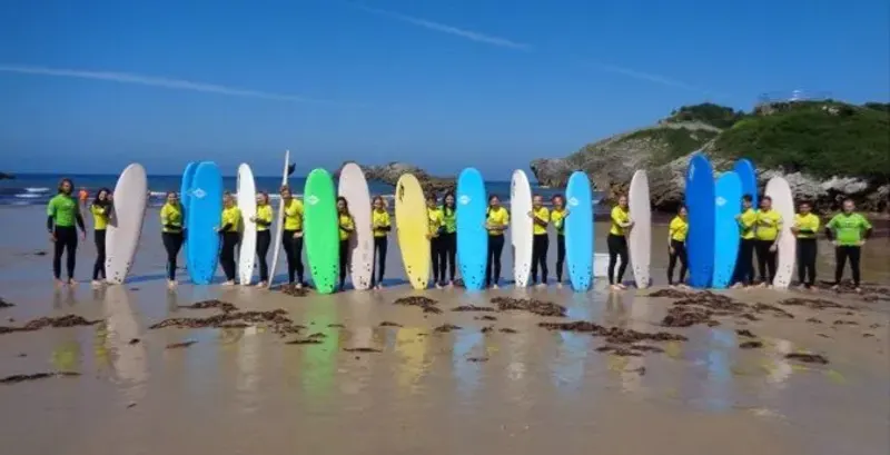 Surfboards 