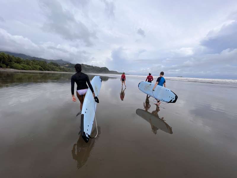Surfing