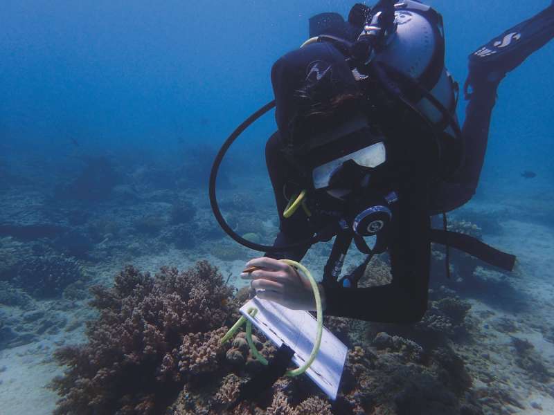 Survey diver in action
