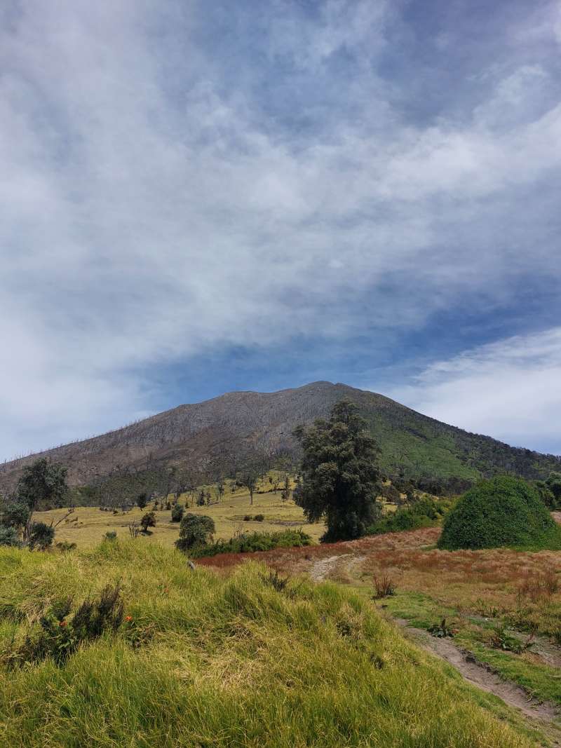 Sustainable Development Micro-Internship in Costa Rica