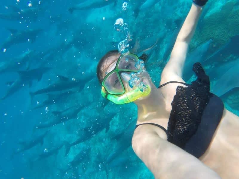 Swimming with dolphins on local dolphin diving experience in Tanzania