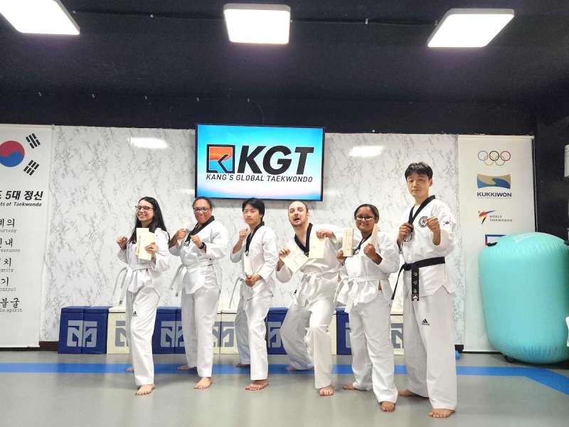 Taekwondo Lesson