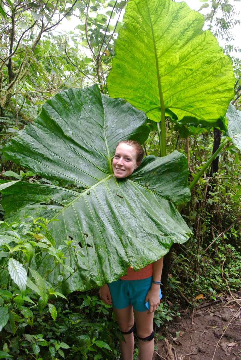 Study Abroad in Monteverde, Costa Rica