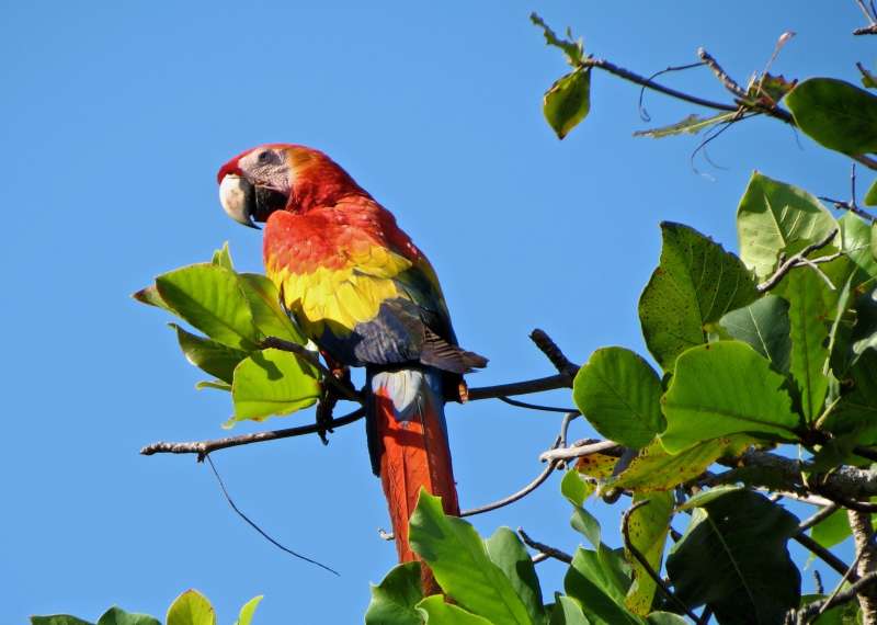 Study Abroad in Monteverde, Costa Rica