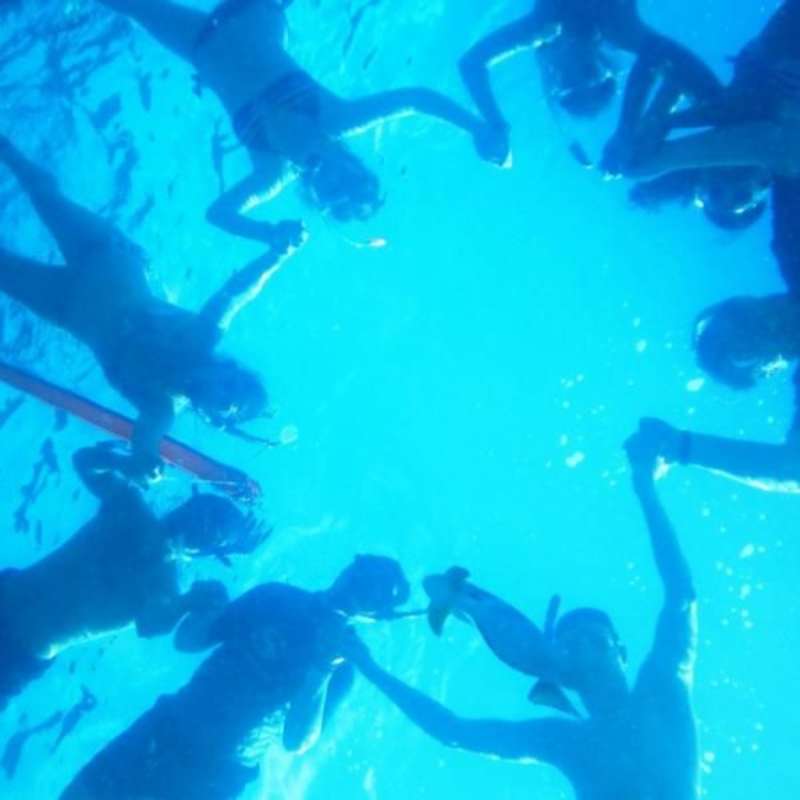 GoEco Thailand - Coastal Marine Conservation in Phang Nga