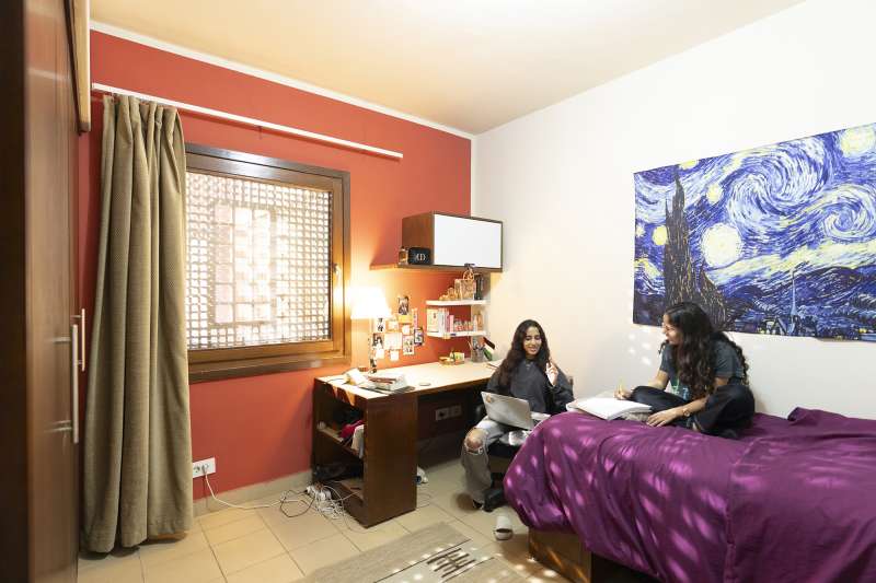 The American University in Cairo