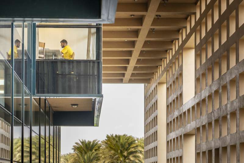 The American University in Cairo
