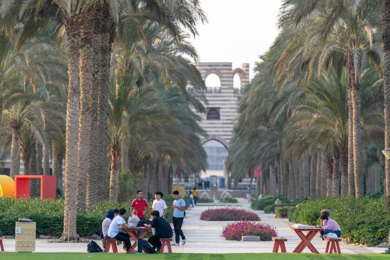 The American University in Cairo
