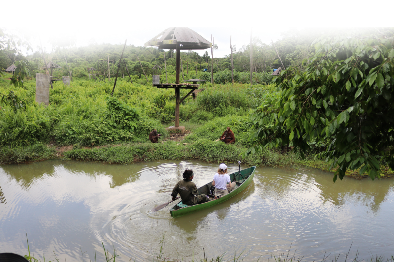 The Black River