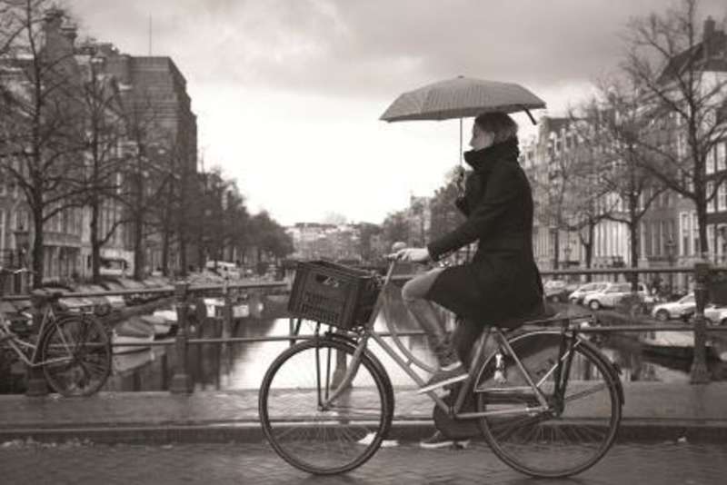 USAC The Netherlands: The Hague - Undergraduate Courses — photo 4