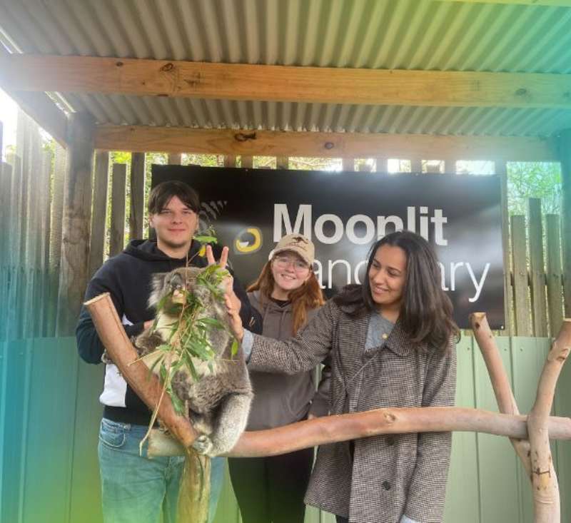 The Intern Group interns in Melbourne