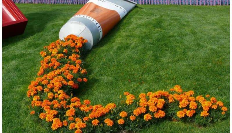 Flower Toothpaste