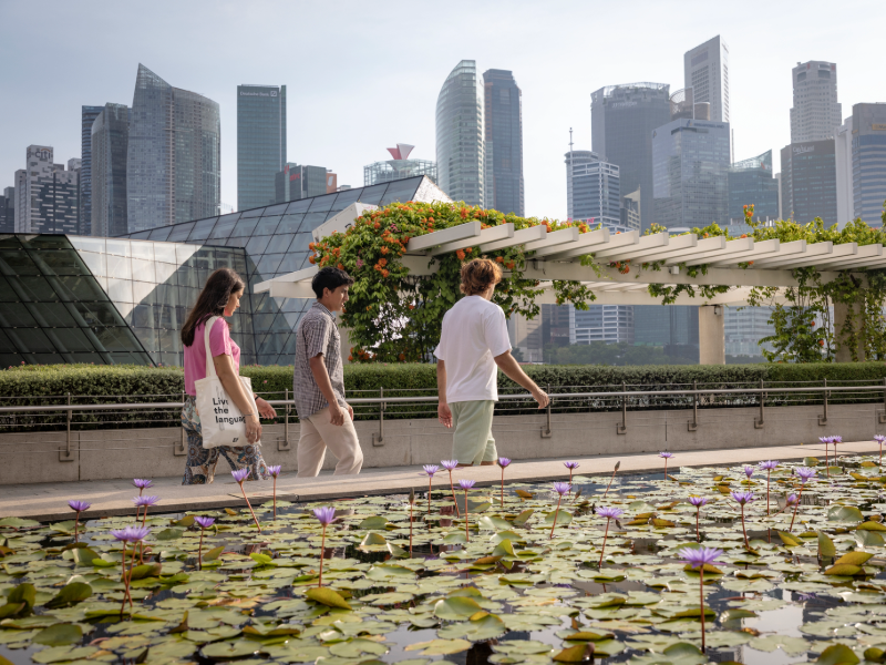 Three EF students walking past a lotus pond in Singapore with the modern city skyline in the background.