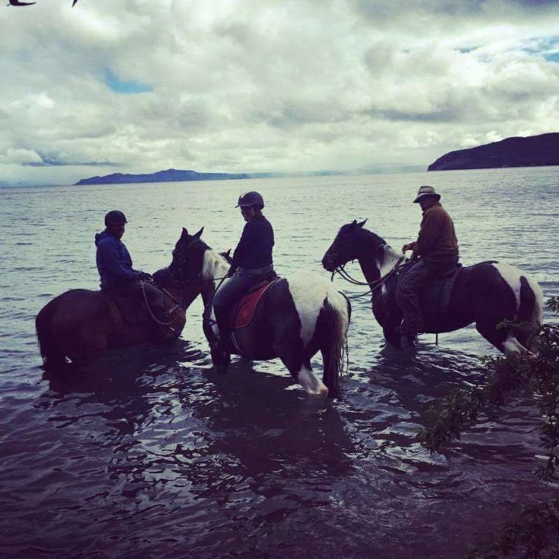 three horses riders in the lake with horses in New Zealand