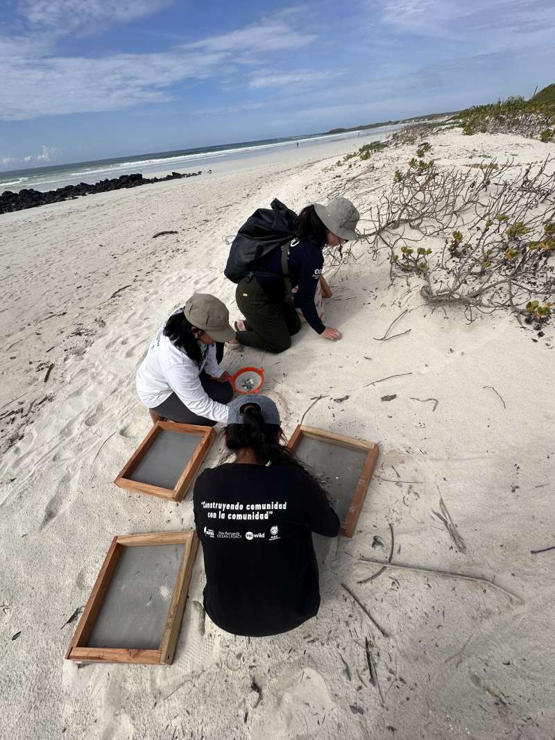 Three women sit on the beach picking microplastics out of the sand and placing on screens.
