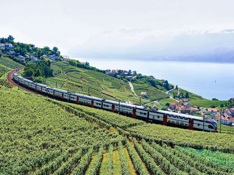 Train winding through a winery in Switzerland
