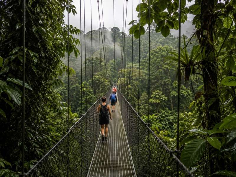 Travellers crossing a rainforest suspension bridge