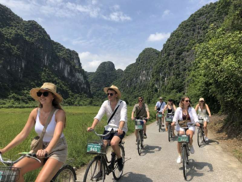 Travellers cycling through rice fields in Ninh Binh