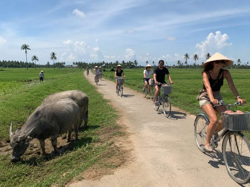 Travellers cycling through rice fields in rural Vietnam