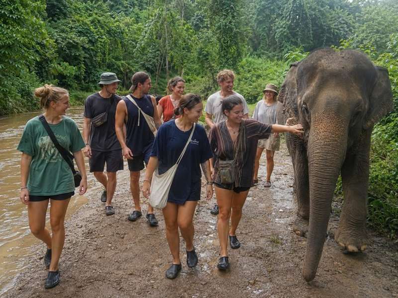 Travellers walking beside an elephant in Thailand