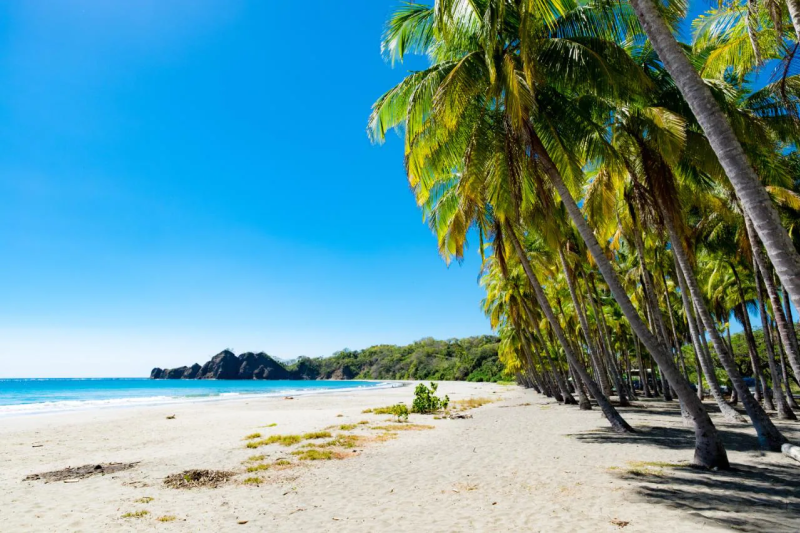 tropical beach in Costa Rica with palm trees and blue ocean, popular destination for TEFL teachers
