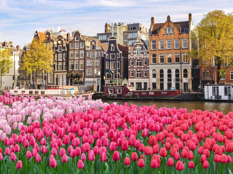 Tulips in front of canal in Amsterdam
