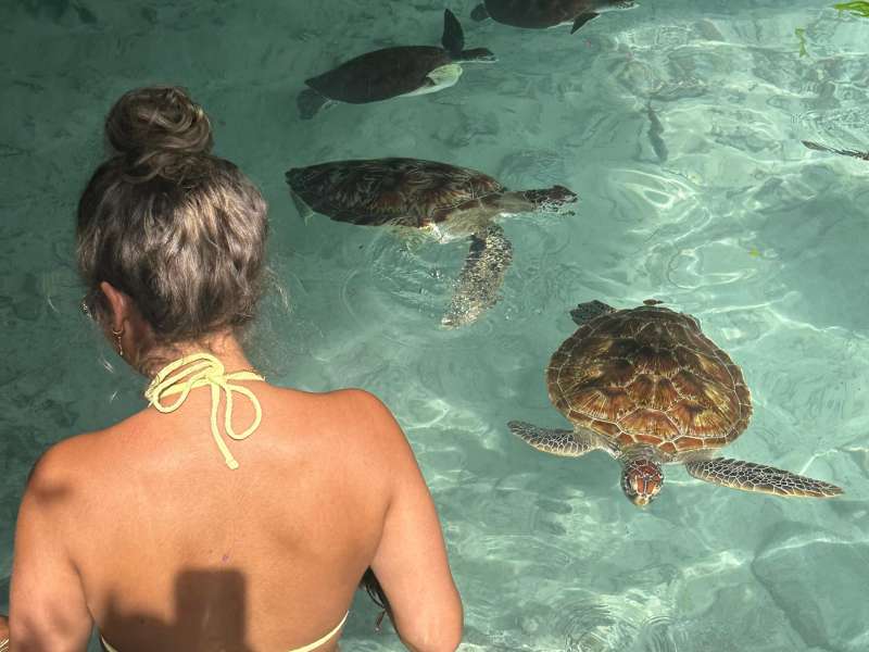 Turtle Caves in Zanzibar