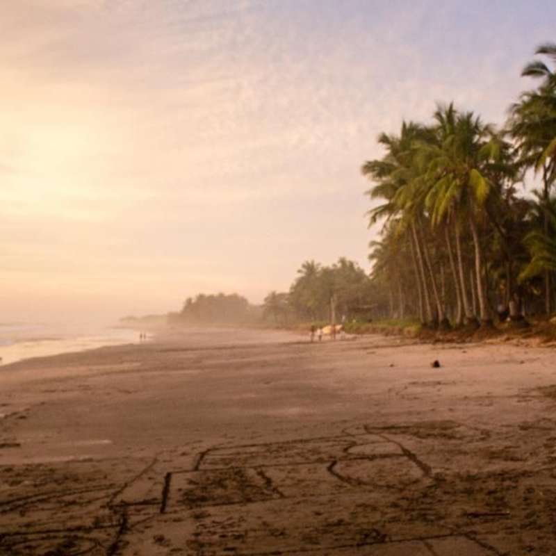IVHQ Turtle Conservation project in Costa Rica 
