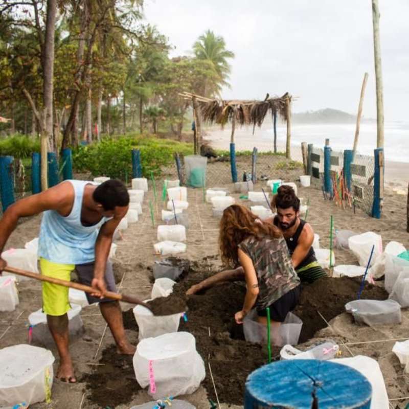 IVHQ volunteers working on Turtle Conservation in Costa Rica 