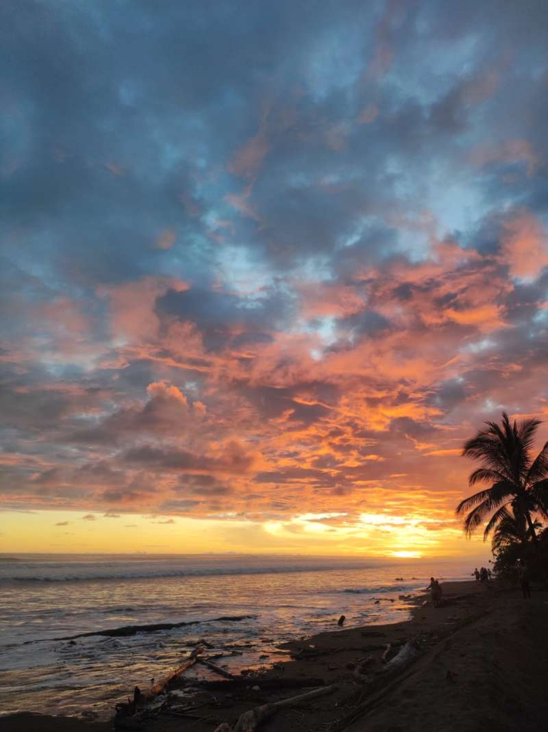 Turtle Conservation Program in Costa Rica