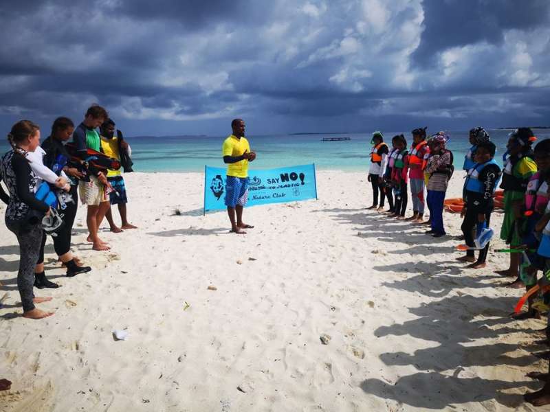 Turtle Conservation