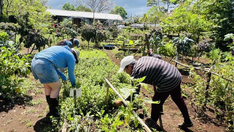 Two people bend over a garden bed weeding.