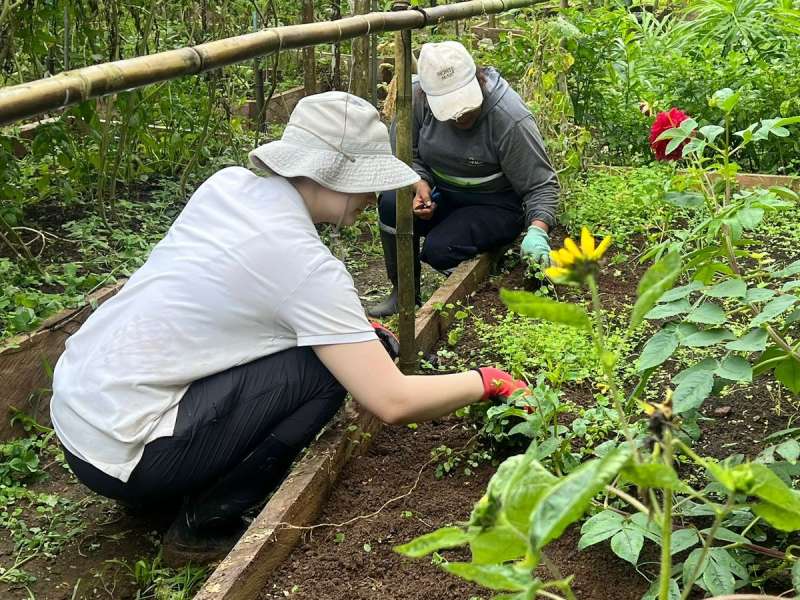 Two people work over a garden bed